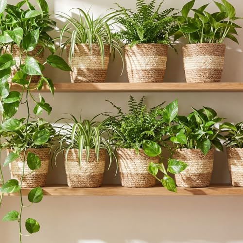 AceOrbit 12 Pcs Wicker Plant Basket Bulk with Liners Woven Planter Baskets Bulk for Indoor Outdoor Seagrass Plants Woven Wicker Baskets for Flower Pots Cover and Room Decor (Small,Bohemian) - color: Bohemian, size: Small