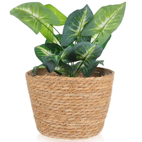 Beavorty Woven Flower Basket Plant Pot with Plastic Liner Indoor Outdoor Decorative Rattan Planter for Small Plants Succulents and Home Garden - size: 25X19CM
