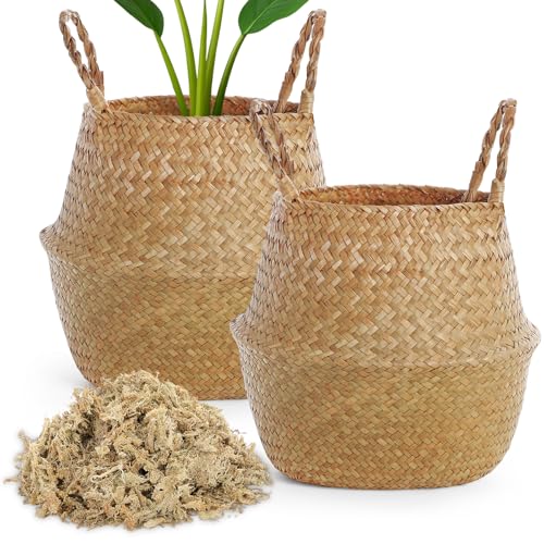 Knitgrip Large Wicker Plant Basket with Handle 10 Inch Woven Seagrass Belly Basket and Artificial Moss for House Plants Picnic Grocery Laundry Storage Home Decor(Large,Original,2 Pack) - color: Original, size: Large