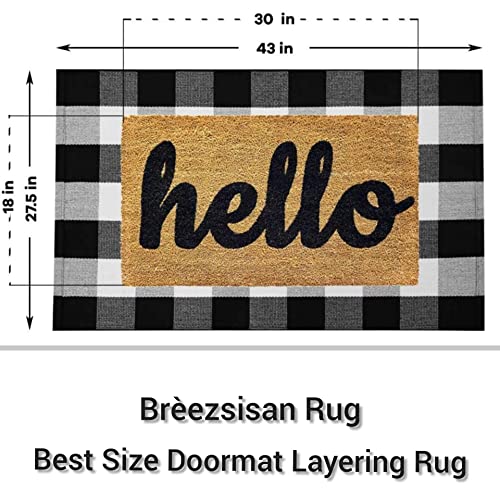 Outdoor Front Door Porch Rug 2x4.3 ft Front Door Rugs Stripe Black White Layering Under Door Mats Rugs. Cotton Woven Checkered Runner, Carpet for Farmhouse Laundry Welcome Deocr