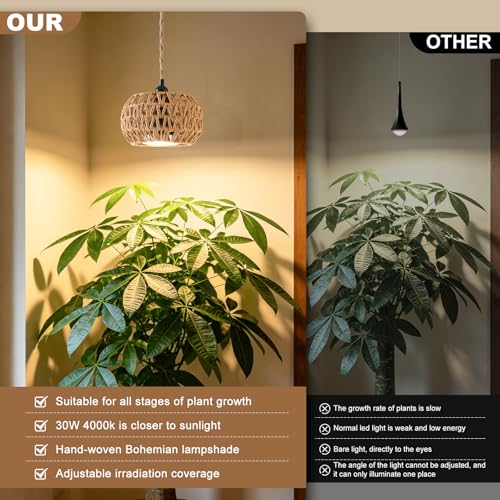 Hanging Grow Light, 30W LED Lamp with Timer for Indoor Plants | 4000K LED plant lamp with 15 ft cord, outlet timer, and boho paper rope shade for succulents, herbs, and low-light rooms. - color: Lantern