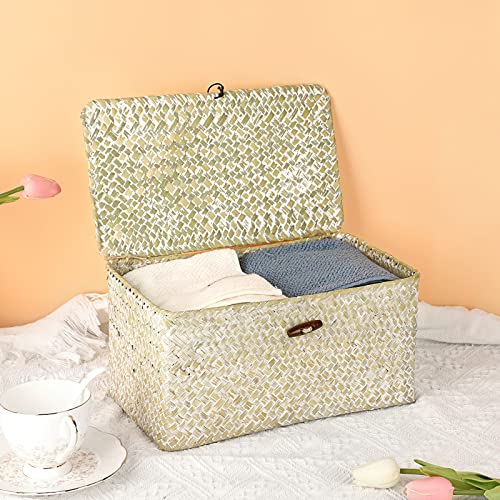 Hipiwe Seagrass Storage Basket Bins with Lid, Handwoven Wicker Shelf Baskets Bin Rectangular Household Basket Organizer Boxes for Shelf Closet Bedroom Home Decor, Whitewash Medium - color: Whitewash, size: Medium