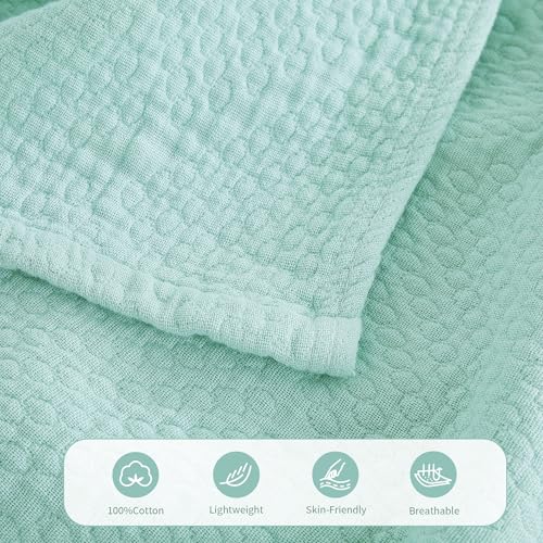 Premium 100% Cotton Blanket – All-Season Soft Breathable Bed Blanket for Twin Size – Lightweight Stylish Textured Throw for Bed– Giftable Cozy Bedding - color: Light Green, size: Twin(60" x 80")