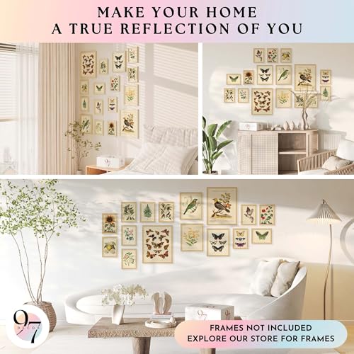 97 Decor LARGE 11x14 Vintage Botanical Wall Art Decor - Plant Posters For Room Aesthetic, Vintage Botanical Prints Nature Floral Pictures Butterfly Bird Art For Home Bedroom (Unframed) - size: UNFRAMED
