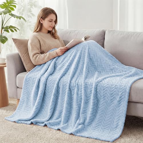 Exclusivo Mezcla Fleece Throw Blanket for Couch, Lightweight Jacquard Bed Blanket for Spring Summer, Soft Cozy Breathable Throws, Light Blue, 50x70 Inches - color: Light Blue, size: Throw ( 50x70 IN )