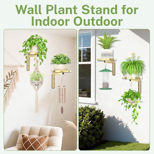 iDavosic.ly Wall Plant Holder Set of 2 for Indoor Outdoor, Metal Hanger with 2 Hooks, Floating Flower Display Stand for Window, Space Saving & Easy to Assemble (Pots/Chains/Plants Not Included), Gold - color: Gold, size: 2 Pack