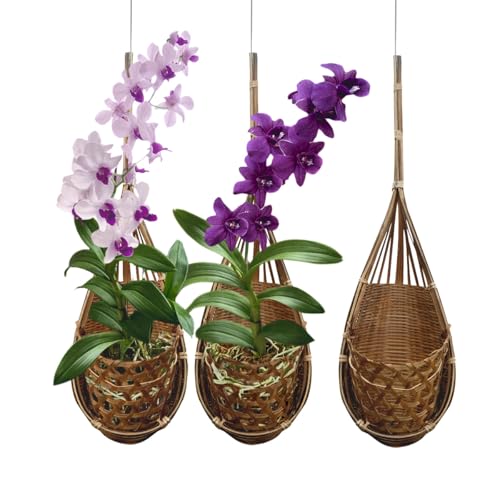Handmade 100% Thai Bamboo Hanging Orchid Basket – 4 Inch Set of 3 - color: 4 Inch 3-pack