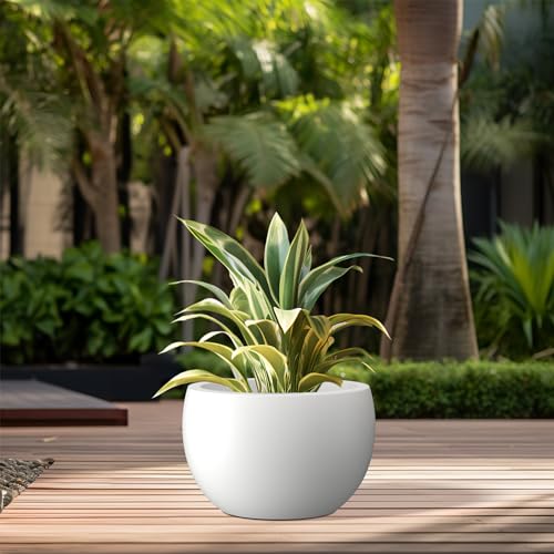 Kante 11.8" Dia Round Concrete Planter, Outdoor/Indoor Large Bowl Plant Pots with Drainage Hole and Rubber Plug for Garden Patio Balcony Home, Pure White - color: Pure White, size: 11.8" d
