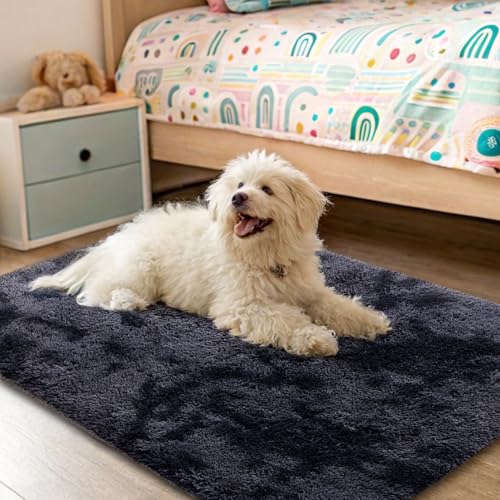 OLANLY Area Rugs for Living Room Bedroom, Machine Washable 2x3 Feet Soft Fluffy Shaggy Bedside Rug, Indoor Floor Carpet for Kids Girls and Boys, Nursery Room, Home Decor Aesthetic, Deep Grey Tie-dye - color: Deep Grey Tie-dye, size: 2x3 Feet