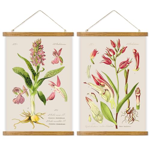 ABoby Vintage Flower Poster, Decorative Botanic Chart Wall Art Prints, Printed on Linen with Wood Frames, Ready to Hang - color: Red Flower
