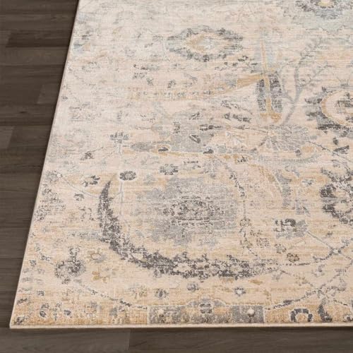 Hauteloom Obsidian Rustic Farmhouse Living Room Bedroom Dining Room Area Rug - Turkish Style - Traditional Floral Look - Bluish Medium Grey, Beige, Light Brown, Cream, Black - 4'3" x 5'7" - color: Beige, Black, Charcoal / Sunnyside, size: 4'2" x 5'7" (Rec