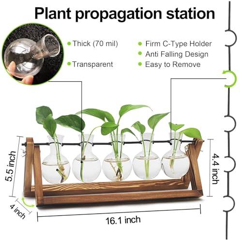 Renmxj Plant Propagation Stations with Wooden Stand & 5 Glass Bulb Vases | Plant Terrarium for Indoor Plants, Home Office Desk Decor, Gardening Gifts for Women Mom, Birthday Gifts for Plants Lovers - size: 5 Bulb Vase