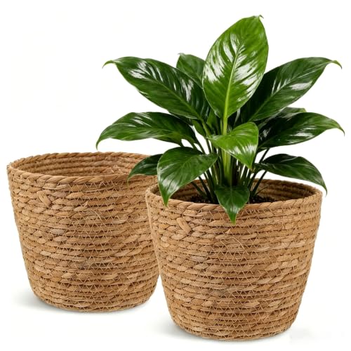 2PCS Seagrass Plant Basket for Indoor and Outdoor,Wicker Large Planter Basket for 6 inch Pot,Rattan Plant Pot Covers for Potted Plants,Woven Storage Baskets for Rustic Boho Farmhouse Decor