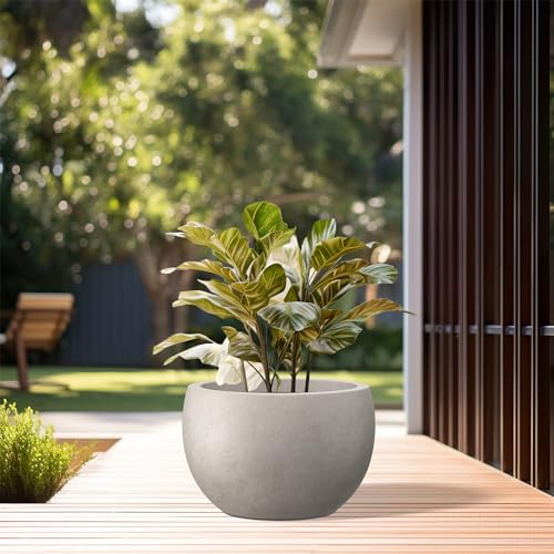 Kante 10 in x 15-16 in Low Concrete Planter, Wide Bowl Plant Pot with Drainage Hole & Rubber Plug – Breathable Handmade Cement Container for Succulents, Tabletop, Patio, Weathered Concrete - color: Weathered Concrete, size: 15.7" d