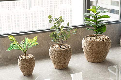 Vintiquewise Woven Round Flower Pot Planter Basket with Leak-Proof Plastic Lining- Set of 3 - size: Set of 3
