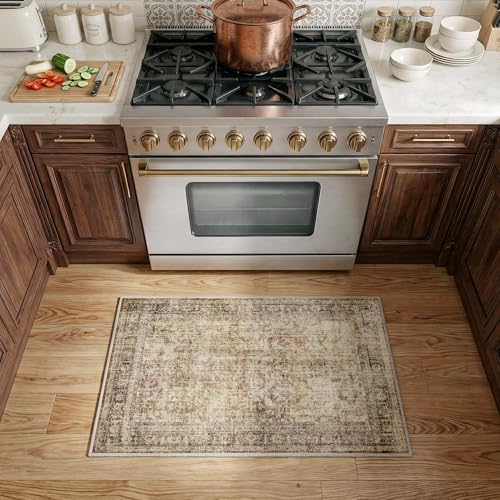 FMFUNCTEX Entryway Rug 2x3 Brown Washable Neutral Vintage Distressed Oriental Door Mat Non Slip Low Pile Indoor Carpet Soft Retro Small Throw Area Rugs for Entry Entrance Bedroom Kitchen Bathroom - color: Brown, size: 2' x 3' (Rectangular)
