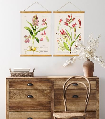 ABoby Vintage Flower Poster, Decorative Botanic Chart Wall Art Prints, Printed on Linen with Wood Frames, Ready to Hang - color: Red Flower