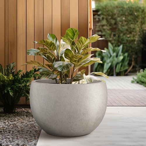 Kante 19.9" Dia Round Concrete Planter, Outdoor/Indoor Large Bowl Plant Pots with Drainage Hole and Rubber Plug for Garden Patio Balcony Home, Weathered Concrete - color: Weathered Concrete, size: 19.9" d