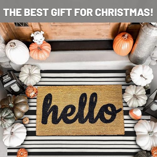 IOHOUZE Black and White Striped Rug 2.3'x3.6' Front Door Rugs Outdoor, Small Washable Area Rug for Front Porch, Spring Summer Doormats Outdoor Indoor, Cotton Rugs for Entryway Porch Entrance - color: Black and White Stripe, size: 2'4" x 3'8" (Rectangular)