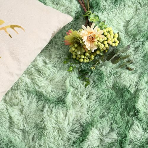 DweIke Fluffy Sage Green Shag Rugs for Bedroom Living Room, 3x5 Feet Soft Plush Tie-Dyed Mint Green Girls Boys Kids Rug, Non-Slip and Machine Washable Carpet for Dorm Nursery Classroom Decor - color: Light Green, size: 3 Ft X 5 Ft