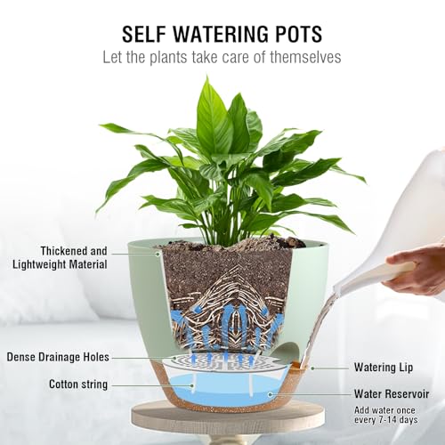 Meowell 10 inch Self Watering Hanging Planters for Indoor Plants, 2 Pack Hanging Baskets for Outdoor Plants, Hanging Flower Pots with Drainage Holes & 2 Kinds of Plant Hangers for Home Decor, Green - color: Green With Brown