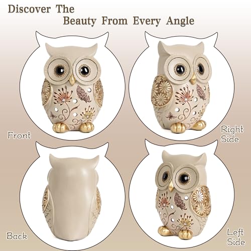 Owl Statue for Home Decor Accents - Boho Decor for Rooms, Bookshelf, Office Table and Living Rooms, Vintage Cute Figurines for Bird Lovers Owl Gifts - color: Colorful