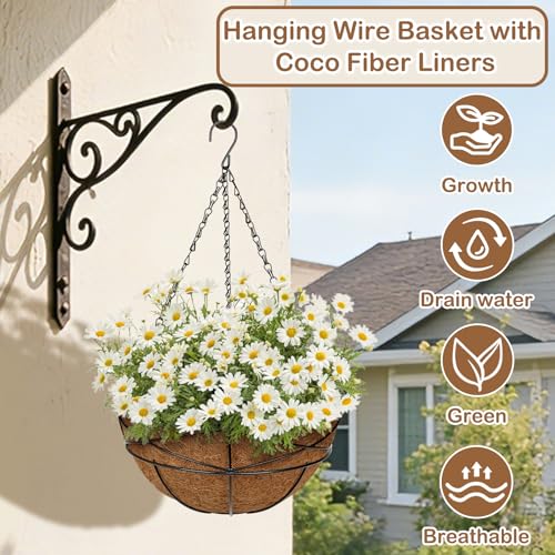 6 Pack 12 inch Metal Hanging Baskets for Plants Outdoor Metal Wire Hanging Basket Planter with Coco Fiber Liners Flower Pots for Home Porch Garden Patio, Diamond-Shaped - size: 12" x 6 Pack, style: Diamond