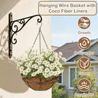 4 Pack 12 inch Metal Hanging Baskets for Plants Outdoor Metal Wire Hanging Basket Planter with Coco Fiber Liners Flower Pots for Home Porch Garden Patio, Diamond-Shaped - size: 12" x 4 Pack, style: Diamond