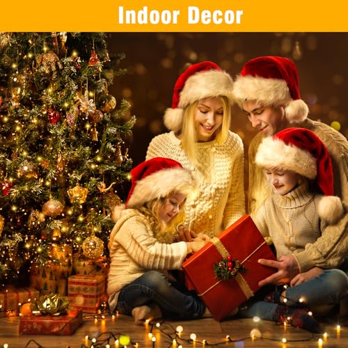 Nisocy 33FT LED String Lights Outdoor Waterproof – Warm White Fairy Lights with Plug, Connectable Christmas Tree Lights for Patio, Garden, Bedroom, Wedding, Party, Decor - style: 33FT, Warm White