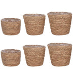 6 Pcs Plant Baskets Indoor with Plastic Liners, Wicker Hand Woven Plant Baskets, Flower Pots Storage Containers in 3 Sizes, Decorative Planters for Home, Balcony, Office