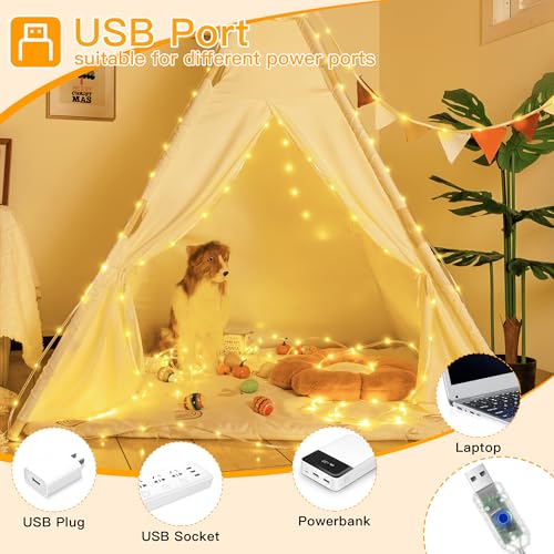 Ollny USB Rope Lights Indoor Color Changing, 33FT 100 LED String Lights with Remote, 18 Colors Christmas Light for Indoor Bedroom Party Wedding Holiday Decorations - color: RGB (Red, Green, Blue), size: 1 Pack-33 FT (USB)
