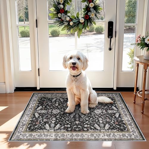 2x3 Rug Non-Slip Washable for Kitchen – Boho Small Throw Rug for Sink & Entryway, Soft Low Pile Thin Indoor Mat for Pet Area & Bathroom (Black, 2x3) - color: Black, size: 2' x 3' (Rectangular)