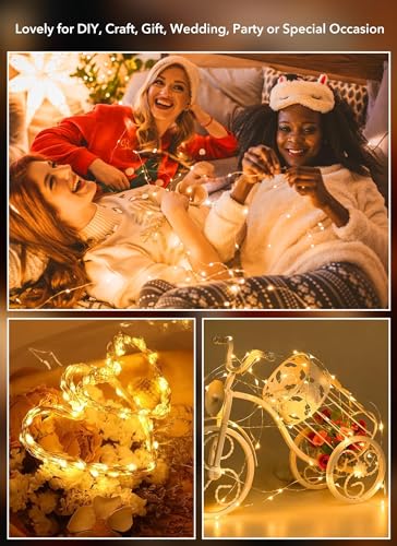 Brightown 24 Pack Fairy Lights Battery Operated String Lights - 7 ft 20 LED Mini String Lights Waterproof Silver Wire Firefly Lights for Vases Mason Jars DIY Crafts Plants Table Centerpieces Wedding - color: Warm White, size: 24 Pack