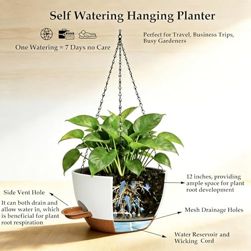 12 Inch Self Watering Hanging Planters 2 Pack, Indoor Outdoor Hanging Pots for Plants with Drainage Holes & Saucers, White Brown Plastic Hanging Baskets for Kitchen Balcony Garden - color: White Brown