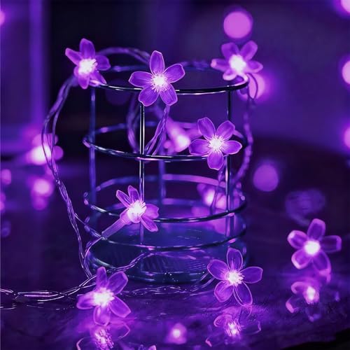 JACUXLSS Decorative Flower String Lights, 33ft 100 LED Clear Wire Plug in Fairy Lavender Cherry Blossom Easter Christmas Hanging Decorations, Violiet Wedding Party Indoor Outdoor Decorations (Purple) - color: Purple