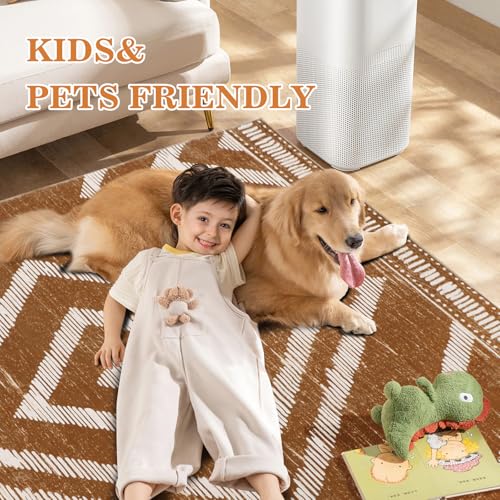 Boho Area Rugs 4x6ft Non Slip, Brown Washable Rug for Living Room, Soft Bedroom Carpet, Low Pile Moroccan Area Floor Carpets for Dining Room Kids Nursery Farmhouse - color: Brown, size: 4' x 6' (Rectangular)