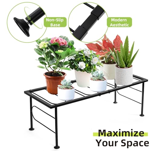 2 Pack Metal Plant Stand Indoor Outdoor, 1 Tier Heavy Duty Flower Pot Stands, Space-Saving Ladder Planter Holder, Decorative Flower Display Rack for Patio Living Room Garden Corner Balcony