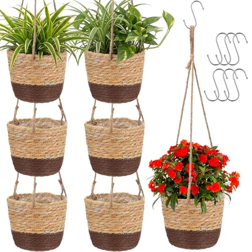 6 Pcs Seagrass Hanging Planter Basket Hand Woven Plant Basket with Plastic Liners Hanging Plant Holder Storage Containers with Cotton Rope for Indoor Garden Decor (Small,Brown,Coffee Brown) - color: Brown, Coffee Brown, size: Small