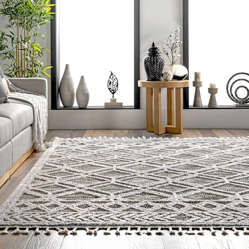 nuLOOM 4x6 Ansley Moroccan Tassel Area Rug, Grey, High-Low Textured Bohemian Design, Plush High Pile, Stain Resistant, For Bedroom, Living Room, Hallway, Entryway