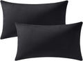 Lumbar Pillow Covers 12x20 Black: Pack of 2 Cozy Soft Velvet Rectangular Modern Luxury Decorative Throw Pillow Cases for Sofa Couch Living Room Bed Home Decor