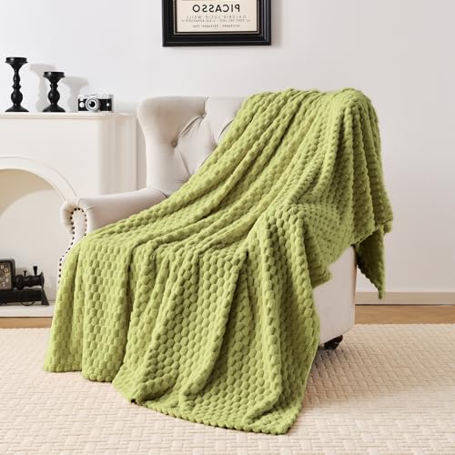 PLEASANT BOULEVARD Fleece Throw Blanket for Couch with 3D Turtle Shell Jacquard Soft Blanket, Fuzzy Blanket for All Seasons 50x60 Inches, SAGEGREEN - color: Sagegreen, size: 50x60in