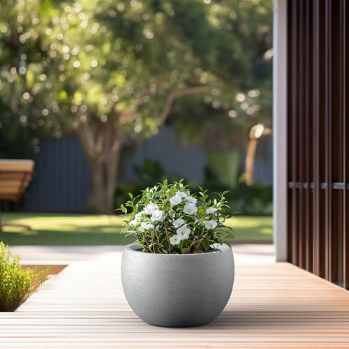 Kante 19.9" Dia Round Concrete Planter, Outdoor/Indoor Large Bowl Plant Pots with Drainage Hole and Rubber Plug for Garden Patio Balcony Home, Natural Concrete - color: Natural Concrete, size: 19.9" d