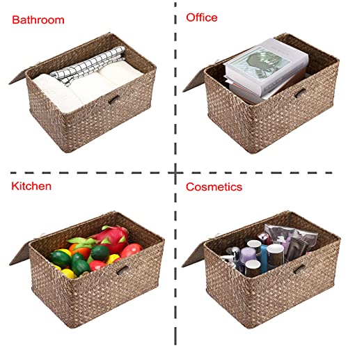 Hipiwe Wicker Shelf Baskets Bin with Lid, Handwoven Seagrass Basket Storage Bins Rectangular Household Basket Boxes for Shelf Wardrobe Home Organizer, Coffee Large - color: Coffee, size: Large