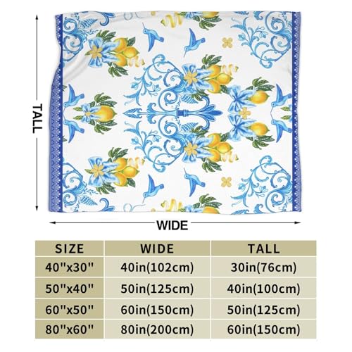 Blue Lemon Throw Blanket for Couch Chair Sofa Bed, Flannel Soft Mediterranean Ceramic Tiles Elegant Baroque Blanket for Bedroom Living Room Car, Warm Cozy Farmhouse Blankets for All Season 30"x 40" - color: Lemon05, size: 30X40 inch