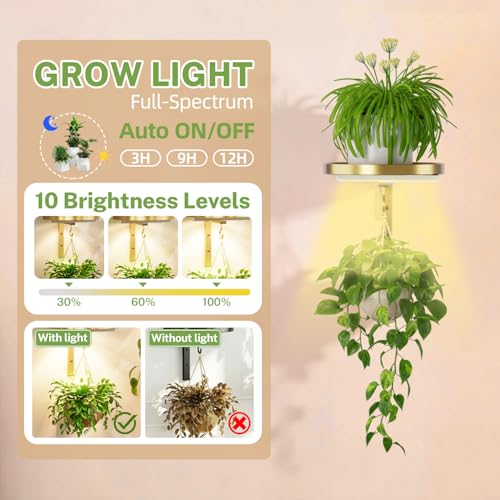 iDavosic.ly Wall Plant Holder with Grow Lights Set of 2 for Indoor Outdoor, Metal Hanger with 2 Hooks, Floating Flower Display Stand for Window, Space Saving & Easy to Assemble (Pots Not Included), Gold - color: Gold with Lights, size: 2 Pack