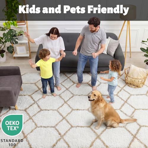 ONASAR Area Rugs for Bedroom Living Room, Fluffy 4x6 White and Beige Throw Rug, Geometric Boho Shaggy Soft Plush Indoor Floor Carpet for Nursery Kids Girls Boys Teen Dorm Home Decor Aesthetic - color: 3- White / Beige, size: 4' x 6' (Rectangular)