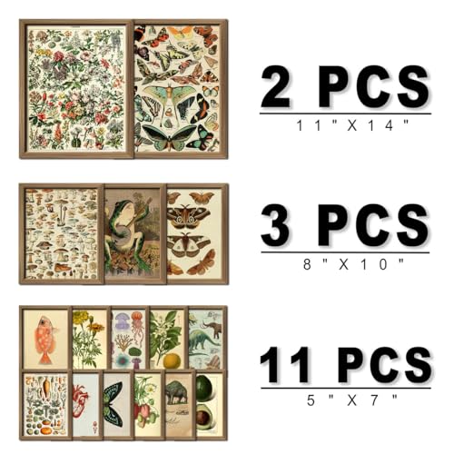 ANERZA 16 PCS Framed Vintage Wall Art Decor, Botanical Cottagecore Wall Prints for Bedroom, Gallery Wall Frame Set, Farmhouse Posters for Living Room Aesthetic, Rustic Dorm Home Collage Kit - color: Drab, size: 12"x15" Framed