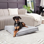 South Pine Porch Mila Square Tufted Pillow Style Dog Bed, Cement, Medium (32" x 32") - color: Cement, size: Medium (32" x 32")