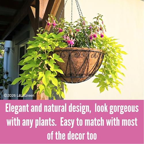 LaLaGreen Hanging Baskets for Plant Outdoor (18 Inch, 2 Pack) Large Black Metal Wire Hanging Planter with Coco Liner Round Flower Pot Hook Holder Hanger Deck Porch Modern Garden Balcony Country Decor - size: 18" x 2 Pack