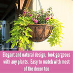 LaLaGreen Hanging Baskets for Plant Outdoor (18 Inch, 2 Pack) Large Black Metal Wire Hanging Planter with Coco Liner Round Flower Pot Hook Holder Hanger Deck Porch Modern Garden Balcony Country Decor - size: 18" x 2 Pack